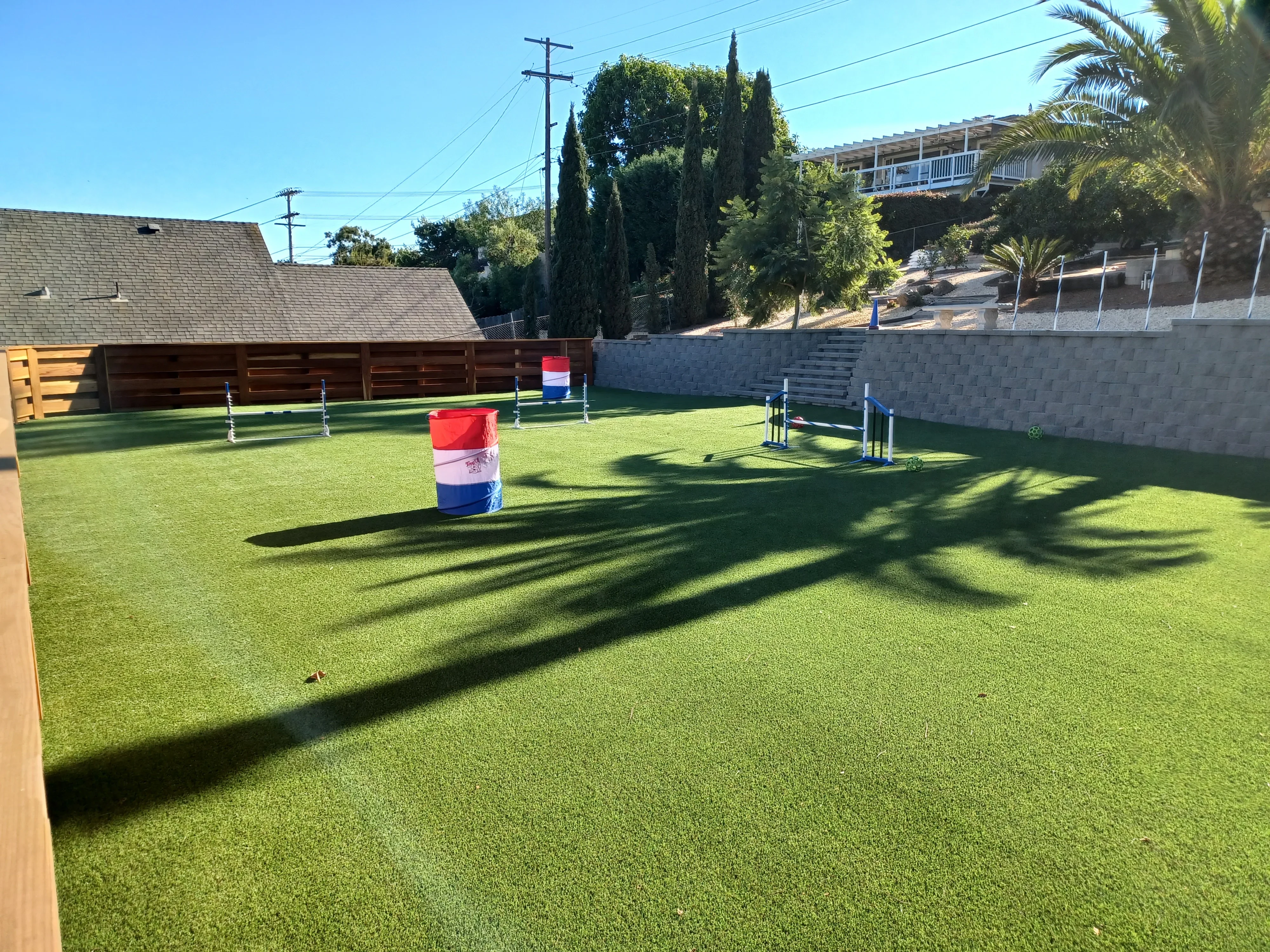Artificial turf backyard with dog agility jumps, weave poles, and tunnel obstacles