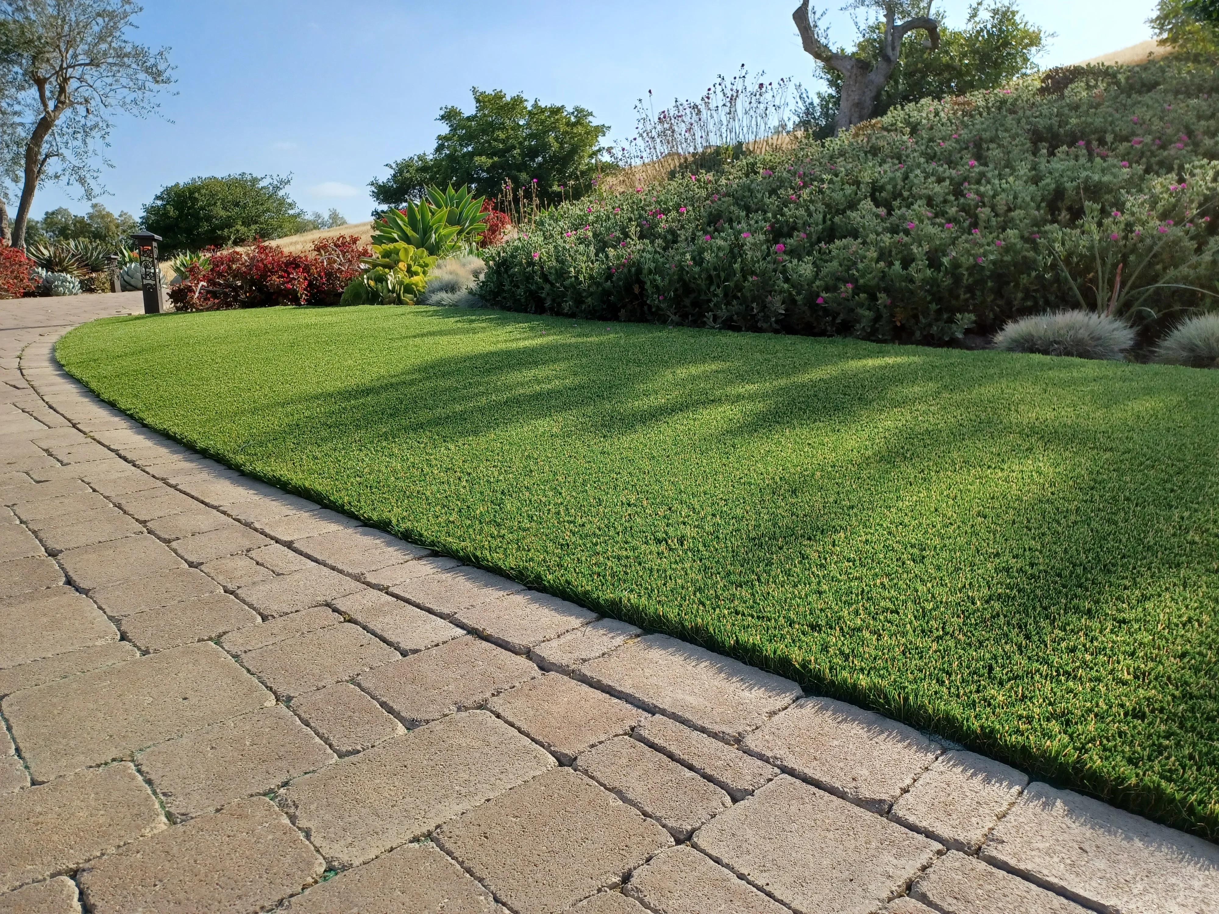 Geometric paver patio with lawn and tiered hillside plantings including ornamental grasses and flowering shrubs