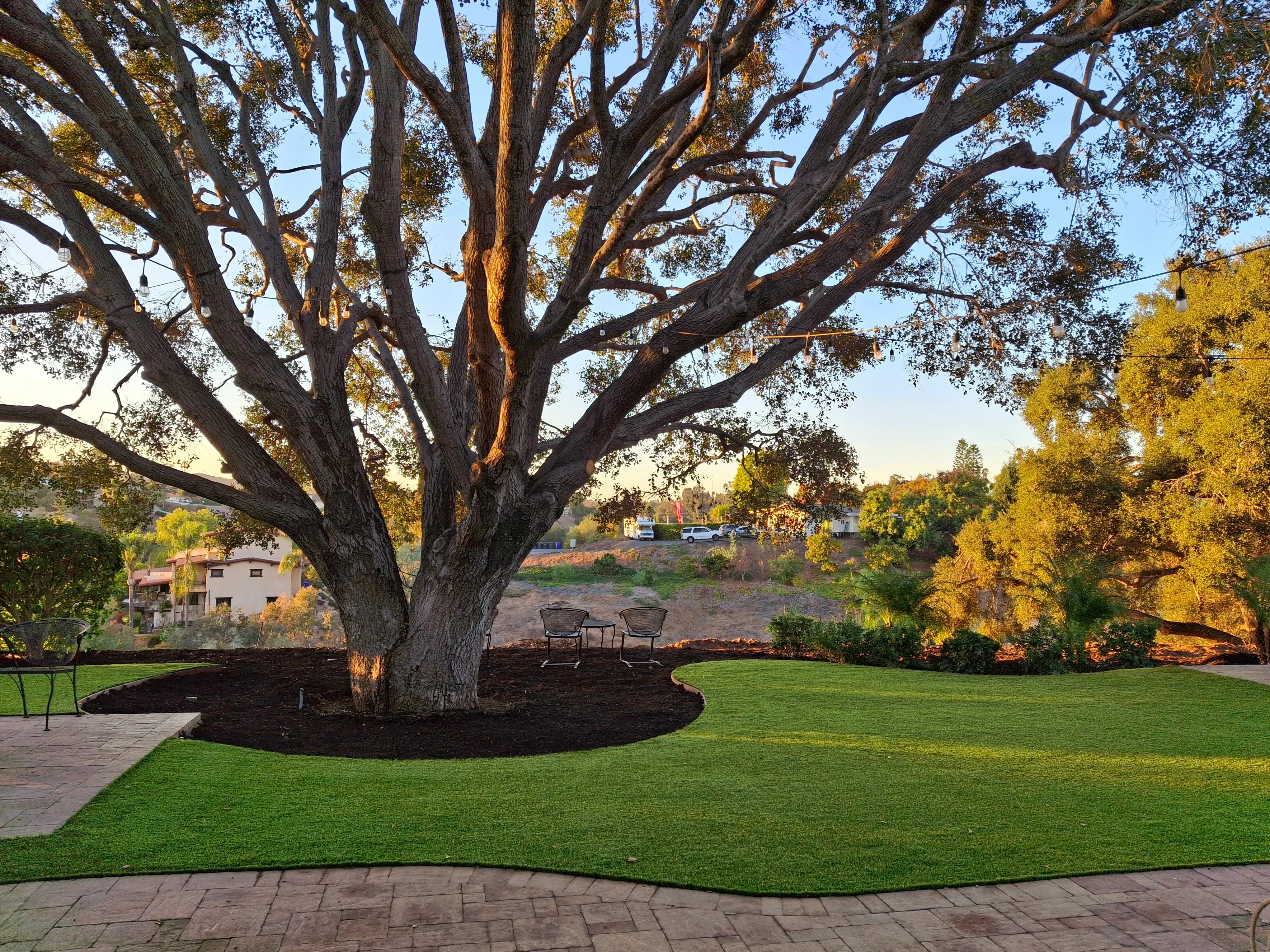 Circular mulch bed with dark wood chips around oak tree, brick paver patio, and manicured lawn