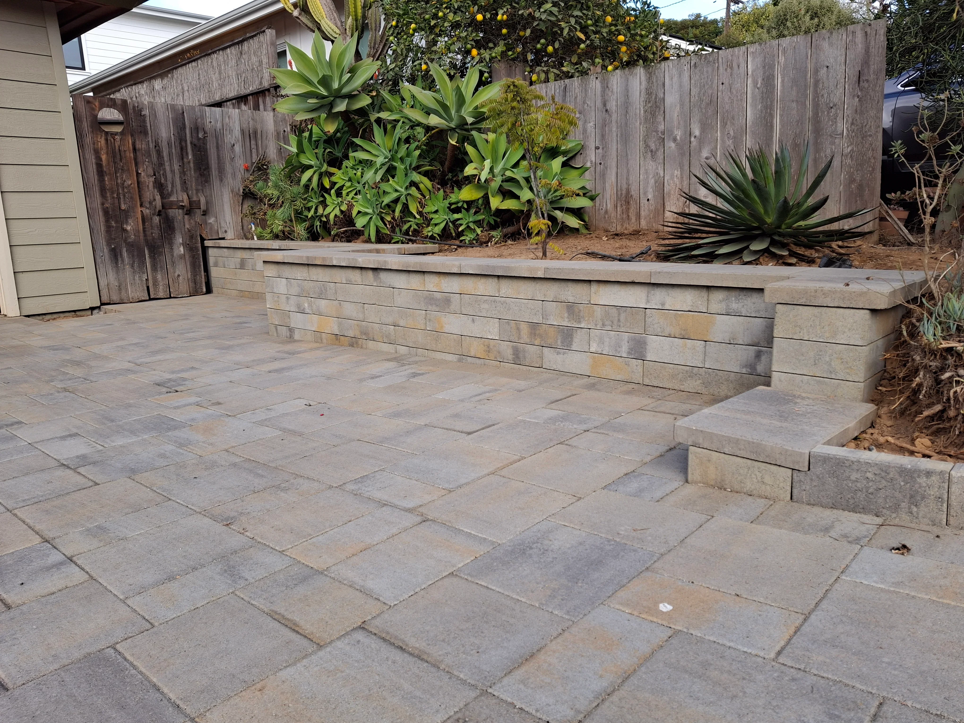 Concrete paver patio with raised concrete planter beds and mature succulents