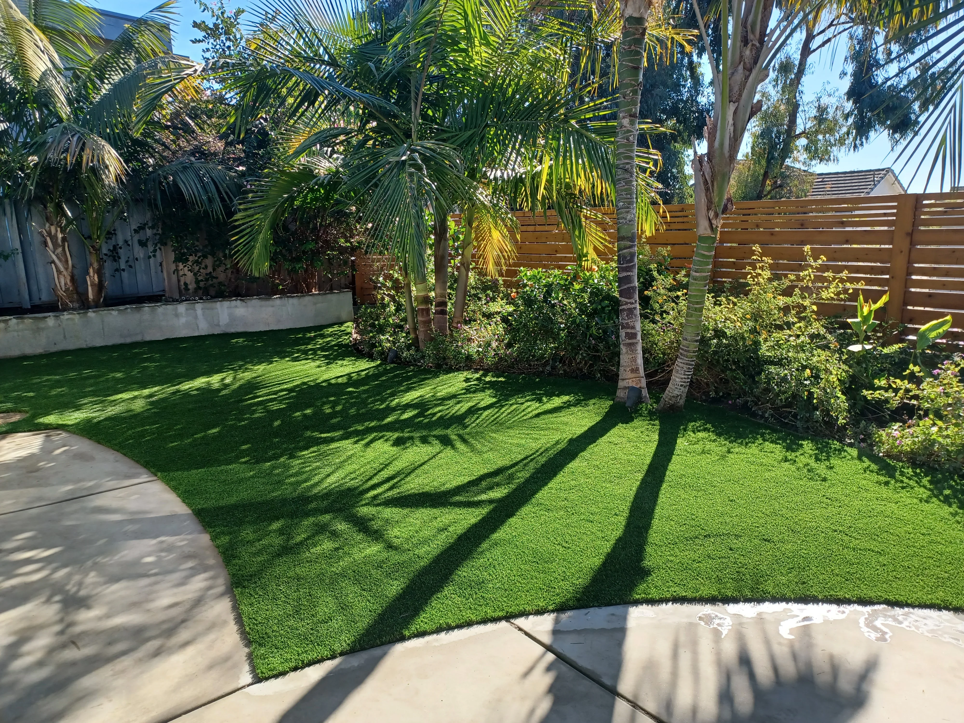 Synthetic turf lawn with concrete patio, horizontal wood fence, and palm trees in residential backyard